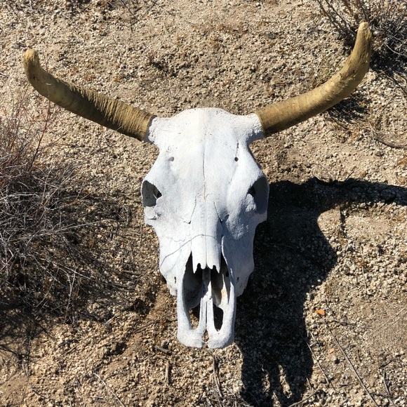 Meet your Posher, Makayla - Picture 1 of 1